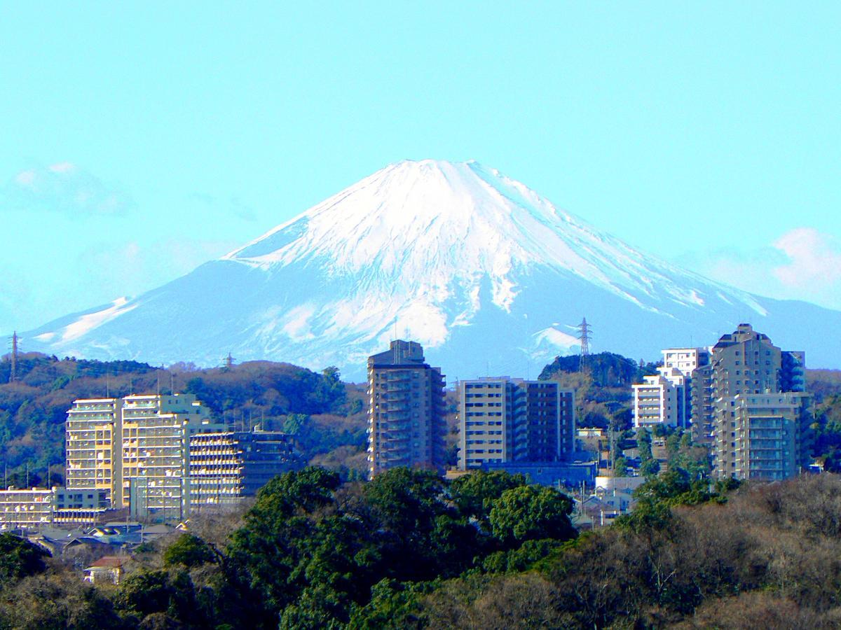 Yokohama Techno Tower Hotel Exterior photo